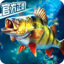 [公益] ⭐长沙&middot;影清SAMA招奴⭐  heatlevel  56..31